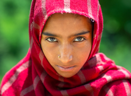 Portrait of a veiled Gujjar Bakerwal girl, Jammu and Kashmir, Kangan, India