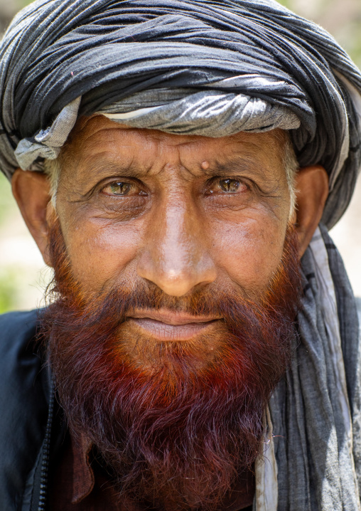 Portrait of a Gujjar Bakerwal man with a turban and red beard, Jammu and Kashmir, Kangan, India