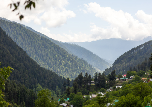 Village in the mountain surrended by forest, Jammu and Kashmir, Kangan, India