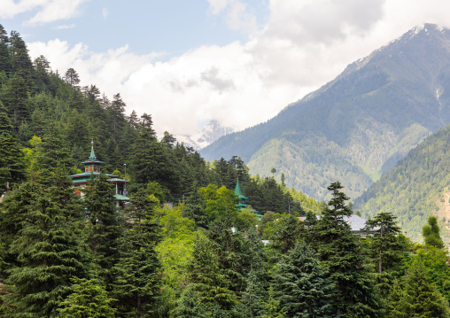 Mosque in the forest, Jammu and Kashmir, Kangan, India