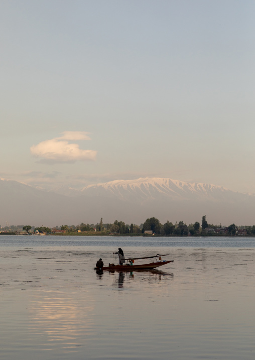 Kashmiri fisherman on Dal Lake at morning, Jammu and Kashmir, Srinagar, India