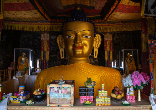 Buddha statue in Shey Monastery, Ladakh, Shey, India