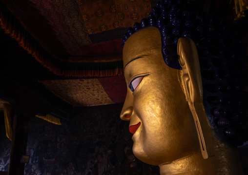 Buddha statue in Shey Monastery, Ladakh, Shey, India