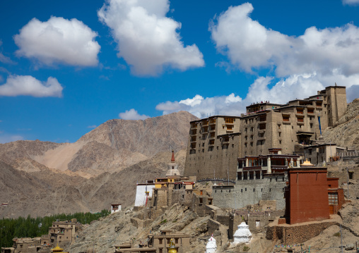 Namgyal Tsemo Monastery, Ladakh, Leh, India