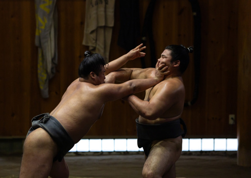 Sumo wrestlers fighting in Tatsunami Beya sumo stable, Kanto region, Tokyo, Japan
