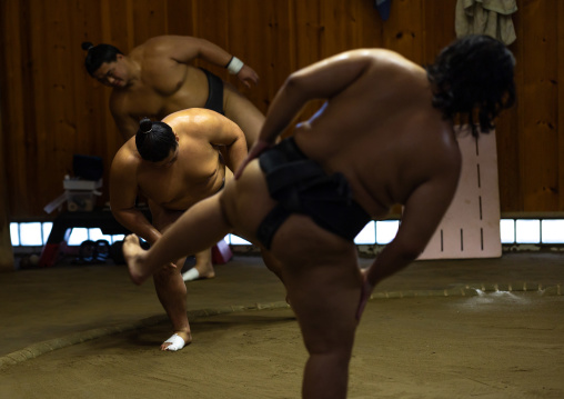 Shiko in Tatsunami Beya sumo stable, Kanto region, Tokyo, Japan