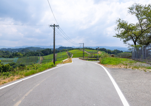 Road in the tea plantations, Kyushu region, Yame, Japan
