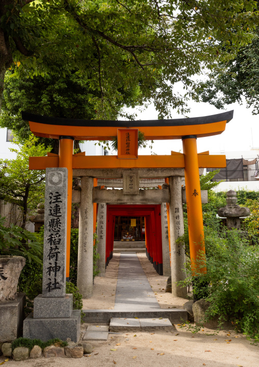Torii in Kushida-jinja shinto shrine, Kyushu region, Fukuoka, Japan