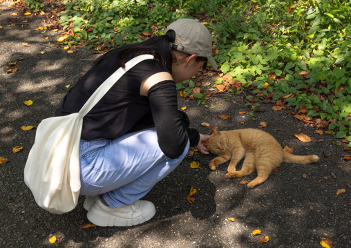 Tourist cuddling a cat in Cat Island, Ainoshima Island, Shingu, Japan