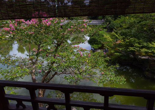 Shu Sui Tei Teahouse pond, Kansai region, Kyoto, Japan