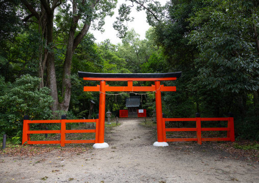 Torii shrine at Kyoto botanical garden, Kansai region, Kyoto, Japan