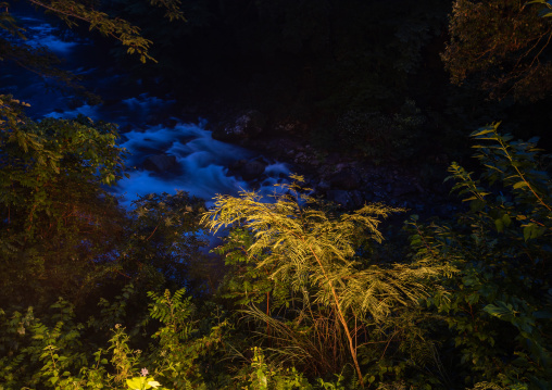 River in the forest at night seen from Arcana hotel, Shizuoka prefecture, Izu, Japan
