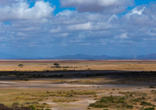 Savanna landscape, Kajiado County, Amboseli, Kenya