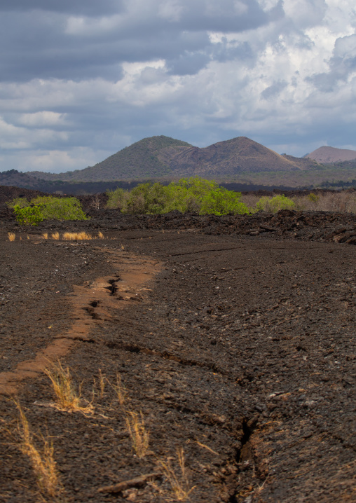 Shetani lava flow landscape, Coast Province, Tsavo West National Park, Kenya