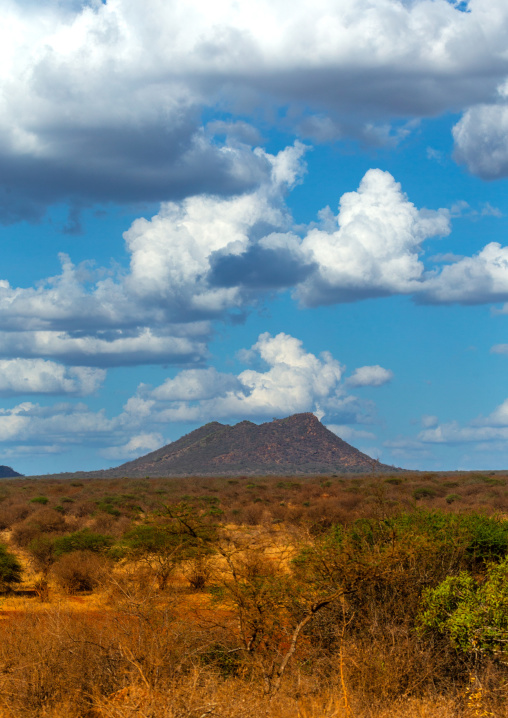 Landscape with a mountain, Coast Province, Tsavo West National Park, Kenya