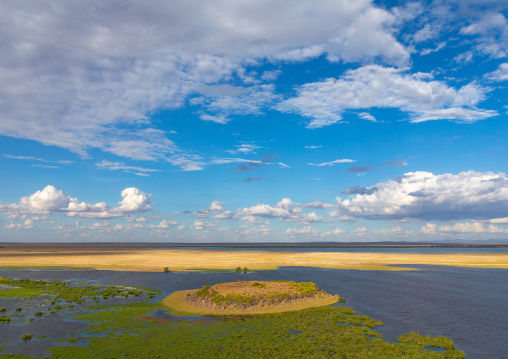 Swamp landscape, Kajiado County, Amboseli, Kenya