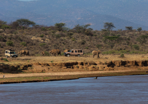 Elephants (Loxodonta africana) in front of four wheels, Samburu County, Samburu National Reserve, Kenya