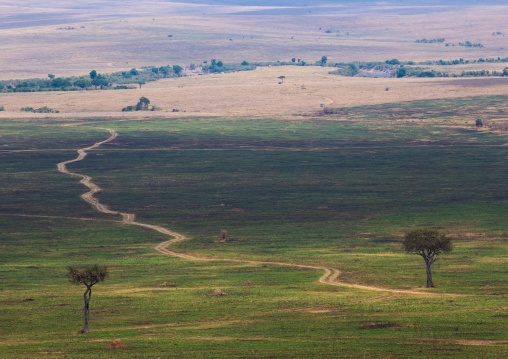 Off road in the park, Rift Valley Province, Maasai Mara, Kenya
