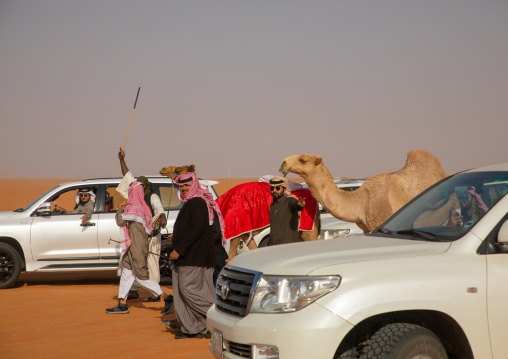 Saudi men following camels with their cars during King Abdul Aziz Camel Festival, Riyadh Province, Rimah, Saudi Arabia
