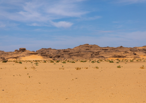 Dry landscape in the desert, Najran Province, Thar, Saudi Arabia