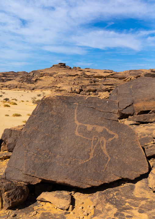 Petroglyphs on a rock depicting an ostrich, Najran Province, Thar, Saudi Arabia