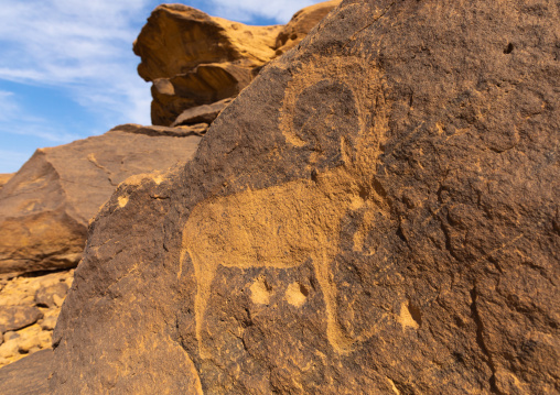 Petroglyphs on a rock depicting ibex, Najran Province, Thar, Saudi Arabia