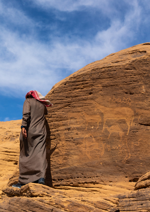 Petroglyphs on a rock depicting donkeys, Najran Province, Thar, Saudi Arabia