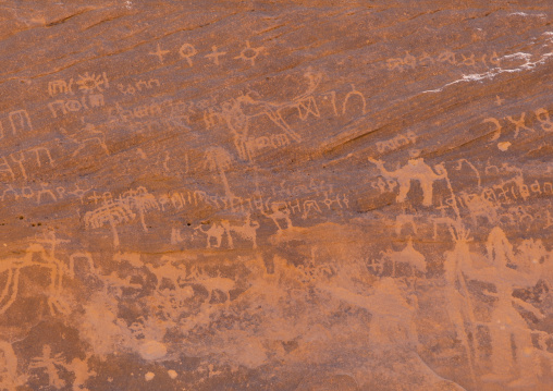 Petroglyphs on a rock depicting camels, Najran Province, Thar, Saudi Arabia