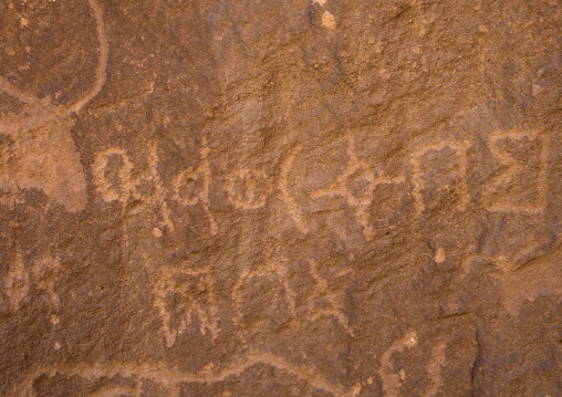 Petroglyphs and Inscriptions on a rock depicting cows, Najran Province, Thar, Saudi Arabia