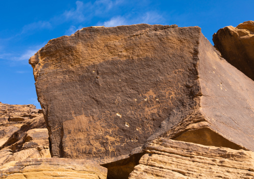 Petroglyphs on a rock depicting animals, Najran Province, Thar, Saudi Arabia