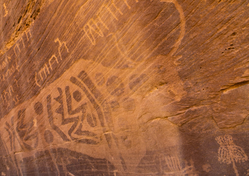 Petroglyphs on a rock depicting cows, Najran Province, Thar, Saudi Arabia