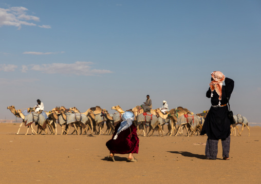 Tourists taking pictures during the training for camel racing, Najran Province, Hubuna, Saudi Arabia