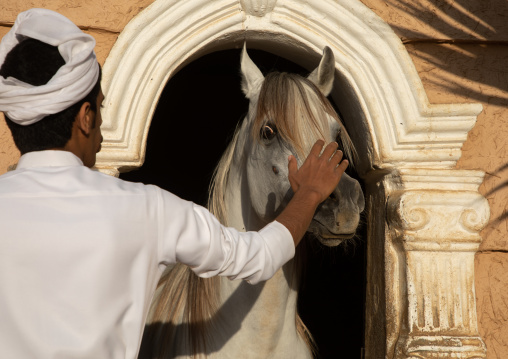 Saudi man with Arabian horse in Alhazm stud, Najran Province, Khubash, Saudi Arabia