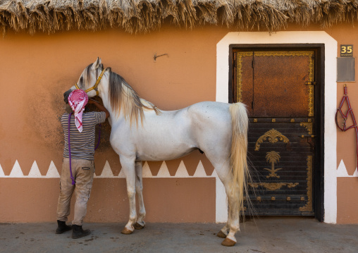 Saudi man with Arabian horse in Alhazm stud, Najran Province, Khubash, Saudi Arabia