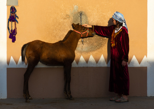 Tourist with an arabian foal in Alhazm stud, Najran Province, Khubash, Saudi Arabia