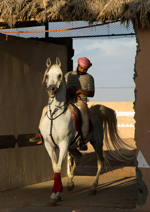 Saudi man riding an arabian horse in Alhazm stud, Najran Province, Khubash, Saudi Arabia