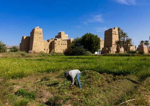 Man working in front of a traditional old mud house in the oasis, Najran Province, Najran, Saudi Arabia