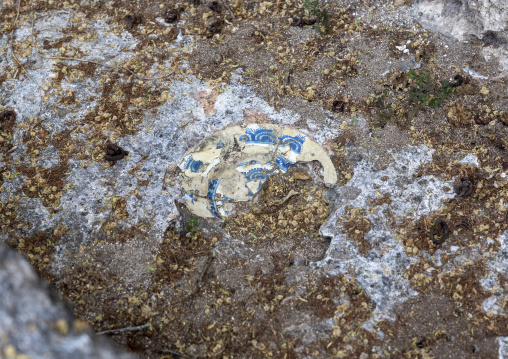 Old chinese plate on a grave in Takwa ruins, Lamu County, Manda island, Kenya