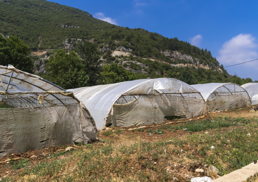 Greenhouses in a farm, Mount Lebanon, Bsatin Al-Ossi, Lebanon