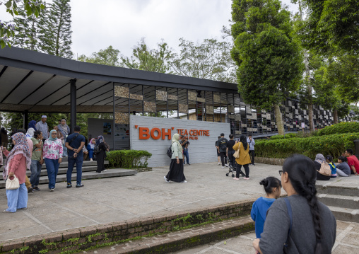 Tourists in Boh tea center, Pahang, Cameron Highlands, Malaysia