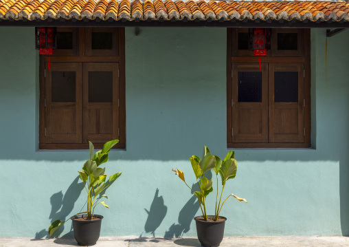 Plants in front of an heritage shophouse, Melaka State, Malacca, Malaysia