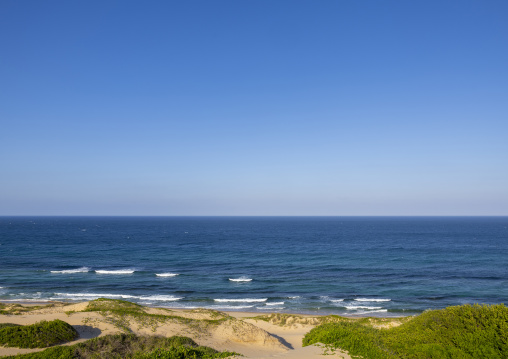 Sand dunes, Inhambane Province, Praia da Rocha, Mozambique