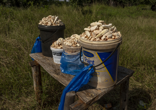 Baobab fruits for sale, Inhambane Province, Vilankulo, Mozambique