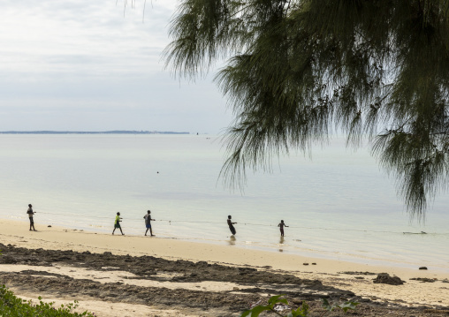 Fishermen pulling out net from the sea, Inhambane Province, Vilankulo, Mozambique