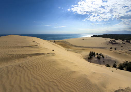 Sand dune in Bazaruto national park, Bazaruto archipelago, Bazaruto island, Mozambique