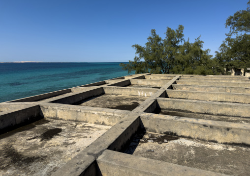 Abandoned Grand Hotel aquariums, Bazaruto archipelago, Santa Carolina island, Mozambique
