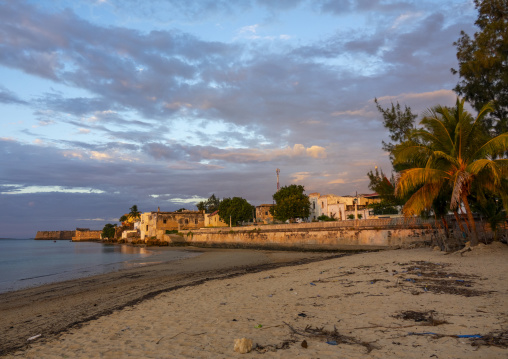 Stone town at sunset, Nampula Province, Island of Mozambique, Mozambique