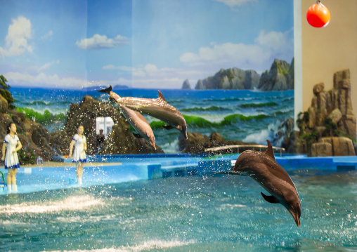 Dolphin show in Rungna dolphinarium, DGC, Pyongyang, North Korea