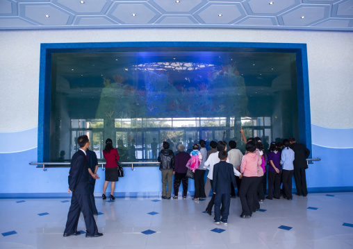 Dolphin show in Rungna dolphinarium, DGC, Pyongyang, North Korea