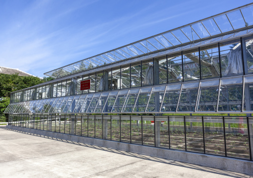 Greenhouse in agriculture university, South Hamgyong, Hamhung, North Korea